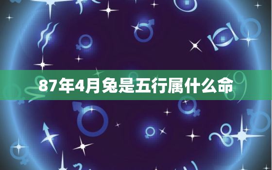 87年4月兔是五行属什么命，1987年4月出生的人五行是什么