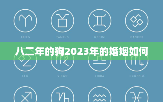 八二年的狗2023年的婚姻如何，八二年的狗2023年的运程