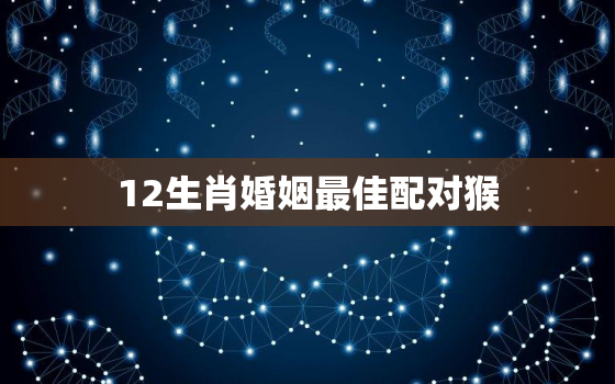 12生肖婚姻最佳配对猴，12生肖猴的最佳婚配生肖是什么