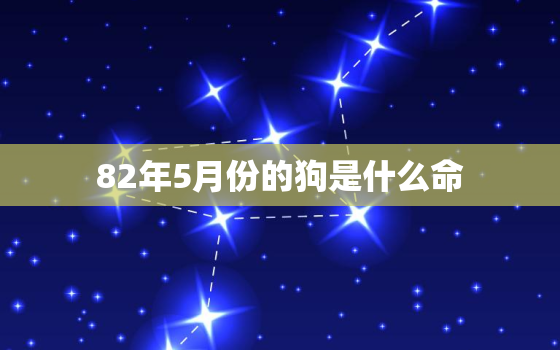 82年5月份的狗是什么命，82年五月什么命