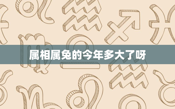 属相属兔的今年多大了呀，属兔生肖 今年多大了