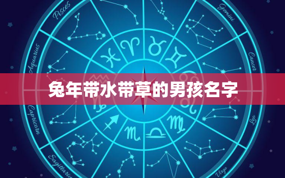 兔年带水带草的男孩名字，带水字带草男孩子名字