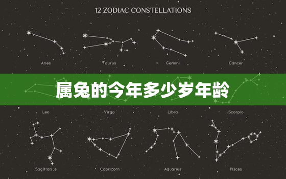 属兔的今年多少岁年龄，属兔的今年多大年龄2021