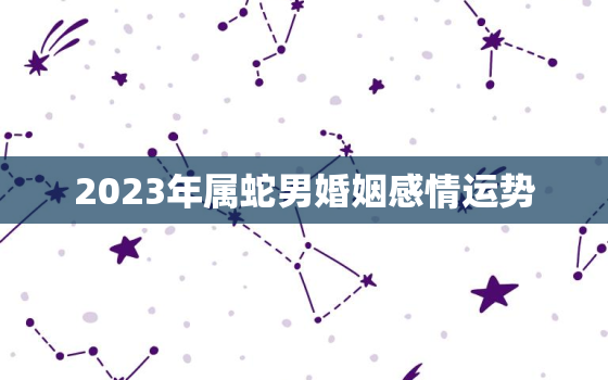 2023年属蛇男婚姻感情运势，2023年属蛇人的感情和婚姻