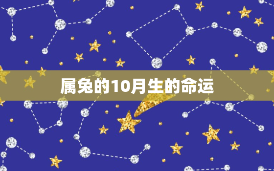 属兔的10月生的命运，属兔10月出生的命运好不好