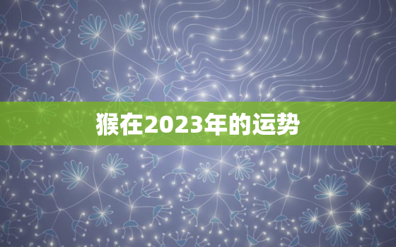 猴在2023年的运势，1968的猴在2023年的运势