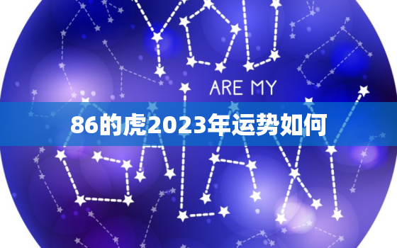 86的虎2023年运势如何，虎今年的运势如何2022