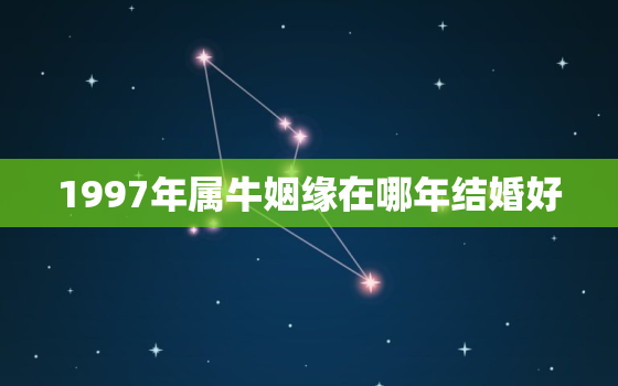 1997年属牛姻缘在哪年结婚好，1997年属牛姻缘在哪年最旺盛2020年婚姻运势怎么样