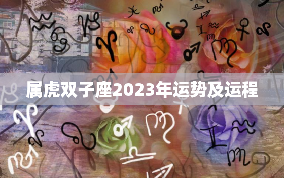 属虎双子座2023年运势及运程，属虎双子座2023年运势及运程详解