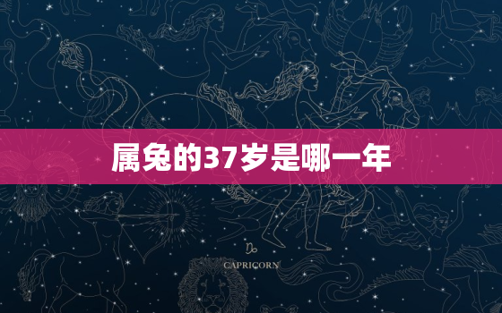 属兔的37岁是哪一年，属兔33岁是哪一年