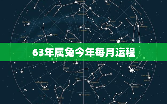 63年属兔今年每月运程，63年属兔人2021年每月财运