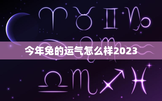 今年兔的运气怎么样2023，今年兔的运气怎么样2021