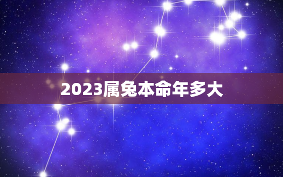 2023属兔本命年多大，2023属兔本命年多大岁数