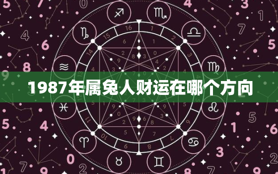 1987年属兔人财运在哪个方向，1987年属兔人的财运在什么方位