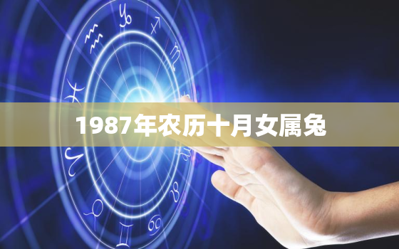 1987年农历十月女属兔，1987年属兔农历十月出生是什么命