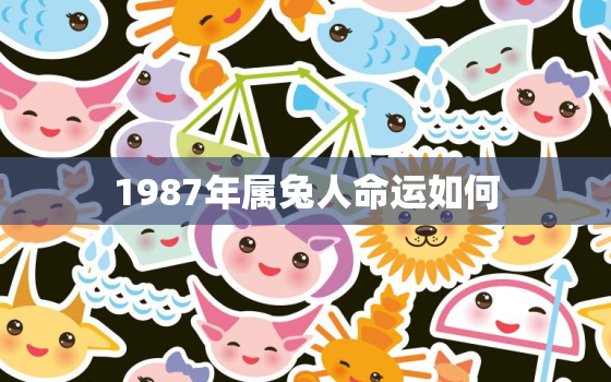 1987年属兔人命运如何，1987年属兔的命好不好