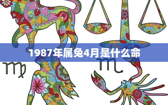 1987年属兔4月是什么命，1987年4月兔一生命运