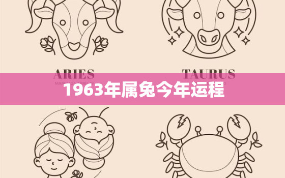 1963年属兔今年运程，1963年的兔今年的财运