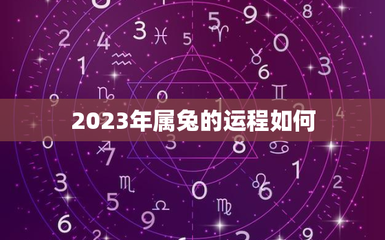 2023年属兔的运程如何，2023年属兔的全年运势怎么样