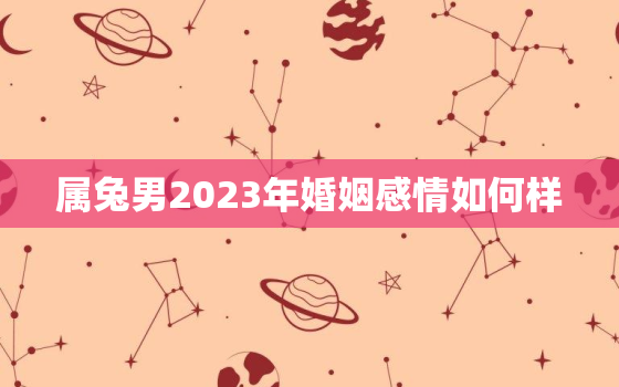 属兔男2023年婚姻感情如何样，2023年属兔男孩