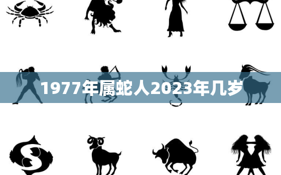 1977年属蛇人2023年几岁，1977年属蛇人2023年运势及运程