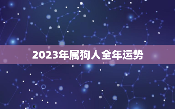 2023年属狗人全年运势，2023年属狗人全年运势1