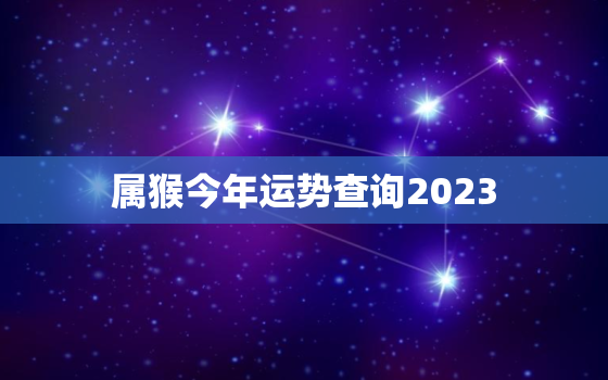 属猴今年运势查询2023，属猴人今年运势2023年每月运势