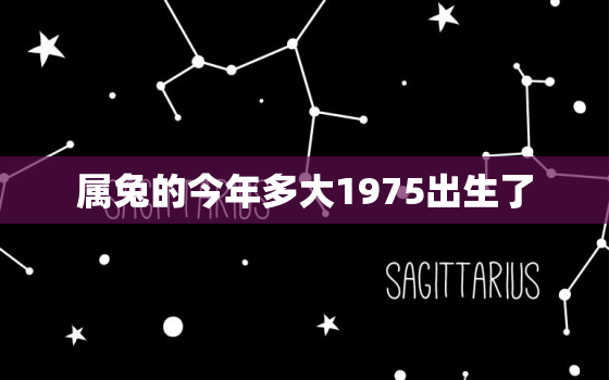 属兔的今年多大1975出生了，属兔的年龄表1975