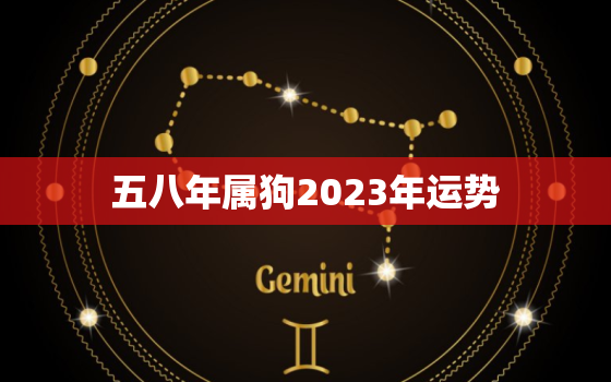 五八年属狗2023年运势，58年狗2022年运势