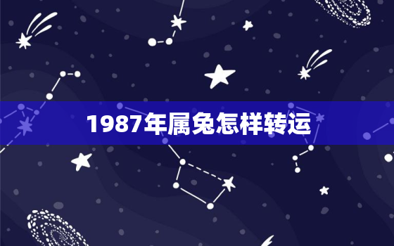 1987年属兔怎样转运，87年属兔人哪年转大运