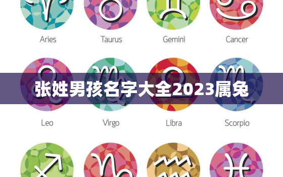 张姓男孩名字大全2023属兔，张姓男孩名字大全2023属兔宝宝