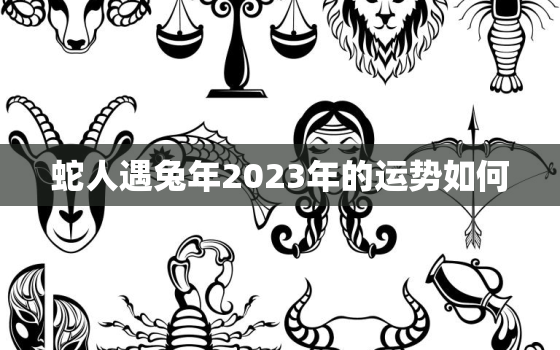 蛇人遇兔年2023年的运势如何，蛇人遇兔年2024年的运势如何