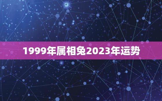 1999年属相兔2023年运势，1999年属兔的2023年多少岁