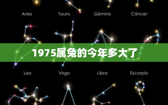 1975属兔的今年多大了，1975属兔的今年多大了