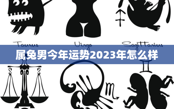 属兔男今年运势2023年怎么样，属兔男2023年每月运势及运程