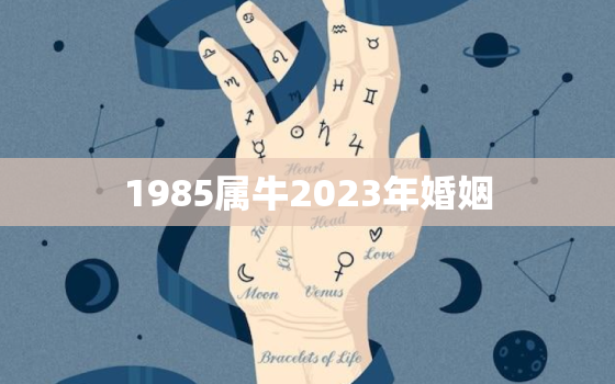 1985属牛2023年婚姻，1985属牛人2023年全年运势详解