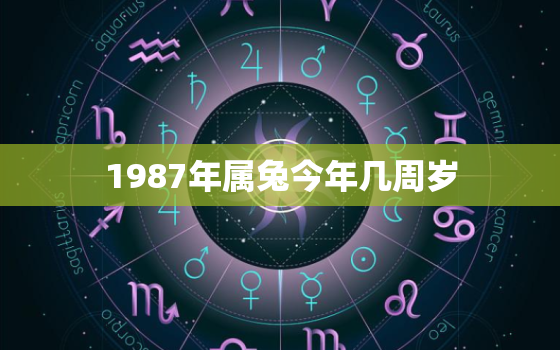 1987年属兔今年几周岁，1987年属兔今年多少周岁