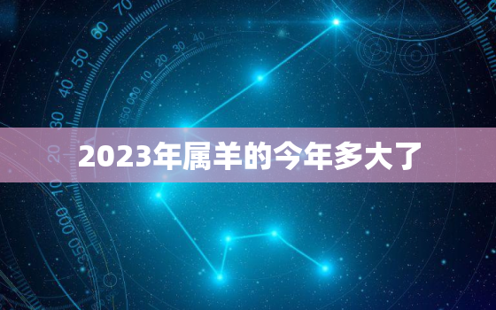 2023年属羊的今年多大了，2023年属羊人的全年运势