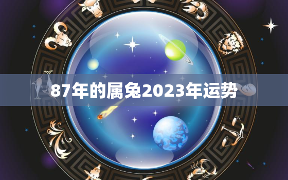 87年的属兔2023年运势，87年属兔2023年运势怎么样