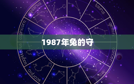 1987年兔的守
，1987年守
是什么