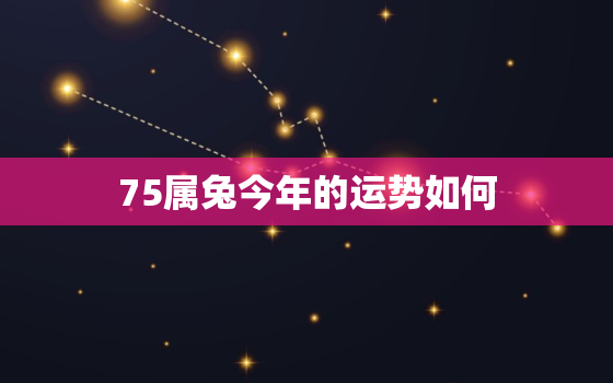 75属兔今年的运势如何，75属兔的今年每月运势怎么样