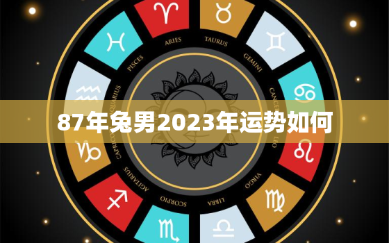 87年兔男2023年运势如何，87年属兔2023年运势详解