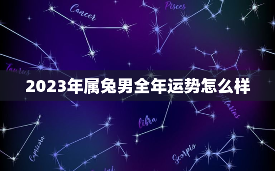 2023年属兔男全年运势怎么样，2023年属兔男全年运势怎么样呢