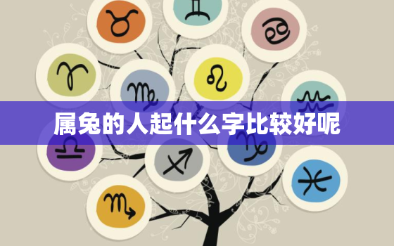 属兔的人起什么字比较好呢，属兔的人起名适合用哪些字