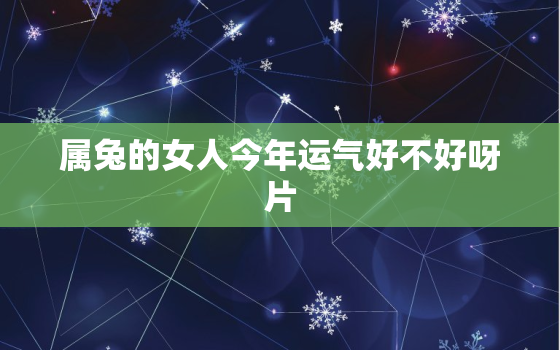 属兔的女人今年运气好不好呀片，属兔女子今年的运势