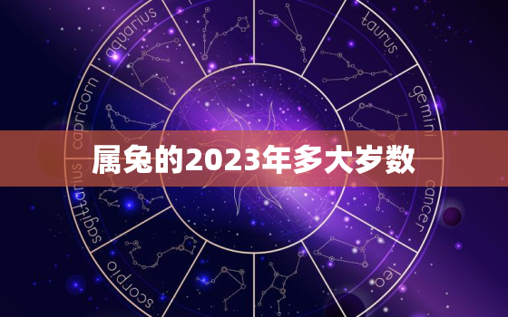 属兔的2023年多大岁数，属兔的人2023