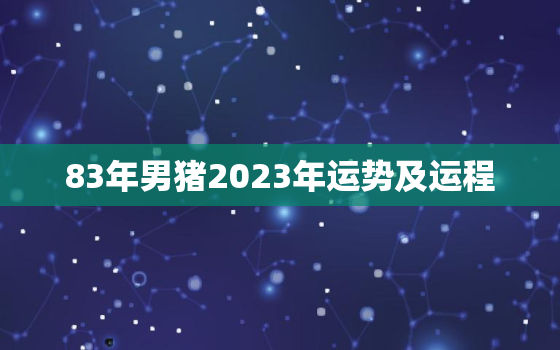 83年男猪2023年运势及运程，83年属猪40岁以后大运