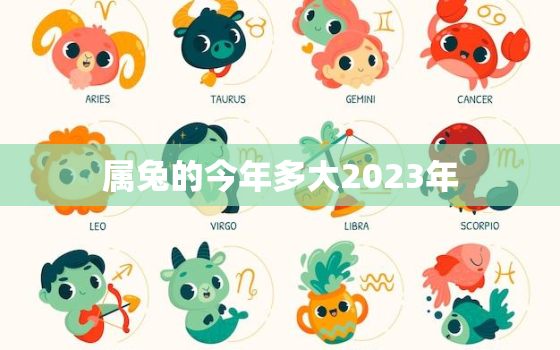 属兔的今年多大2023年，属兔今年多大2021