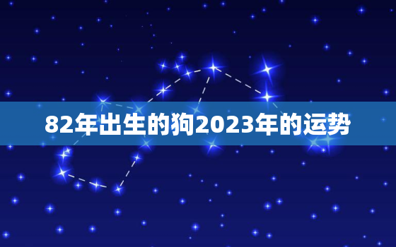 82年出生的狗2023年的运势，82年的狗在2023年的运势怎么样