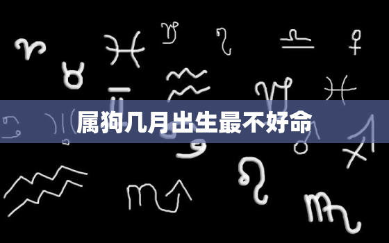 属狗几月出生最不好命，几月狗最有福气